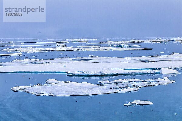 Schmelzendes Eis in einem nebligen arktischen Ozean  Svalbard  Spitzbergen  Norwegen  Europa