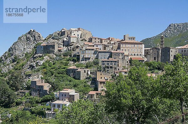 Typisches korsisches Bergdorf im Sommer  Korsika  Frankreich  Europa