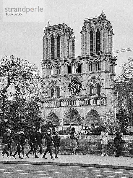 Notre Dame de Paris  Paris  Frankreich  Europa