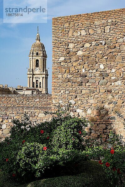 Santa Iglesia Catedral Basilica de la Encarnacion  Alcazaba  Málaga  Spanien  Europa