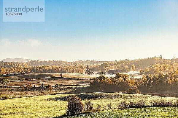 Schöne Landschaft Blick in der Landschaft im Gegenlicht mit Nebel über die Felder mit Herbstfarben auf den Bäumen