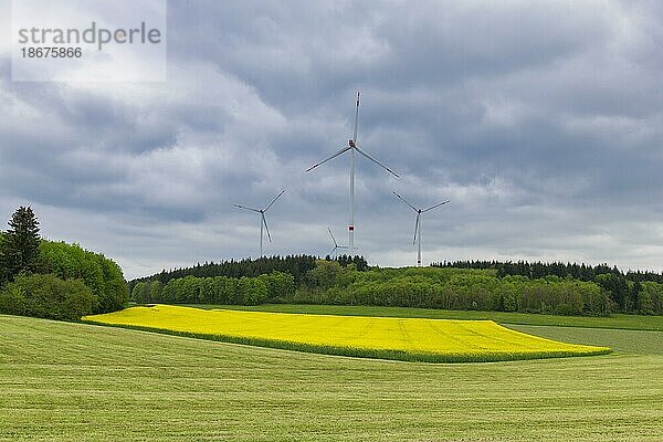 Windpark vor Gewitterhimmel  Windkraftanlage  Windrad  Wiese  Wald  Rapsfeld  Schwäbische Alb  Baden-Württemberg  Deutschlan