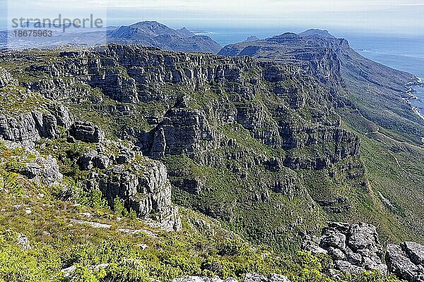 Klippen des Tafelbergs  Kapstadt  Südafrika