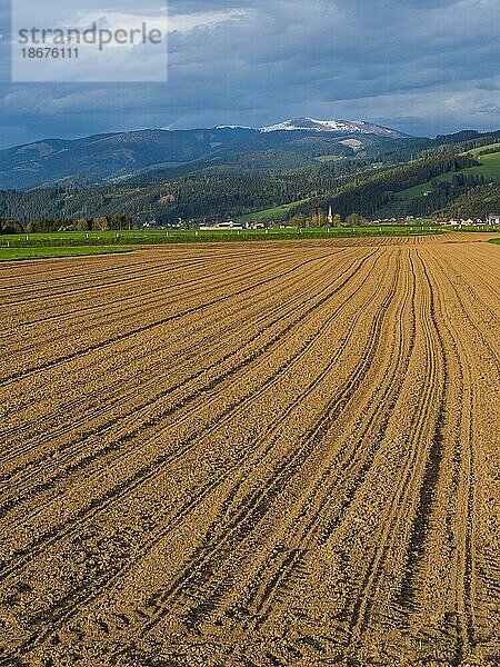 Landwirtschaftlich bearbeitetes Feld  hinten Großlobming  Steiermark  Österreich  Europa