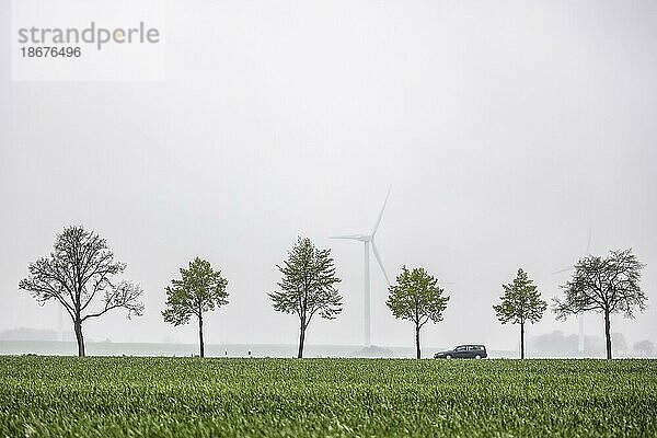 Ein Auto zeichnet sich auf einer Landstrasse von Windrädern ab in Vierkirchen  13.05.2021. Vierkirchen  Sachsen  Deutschland  Europa