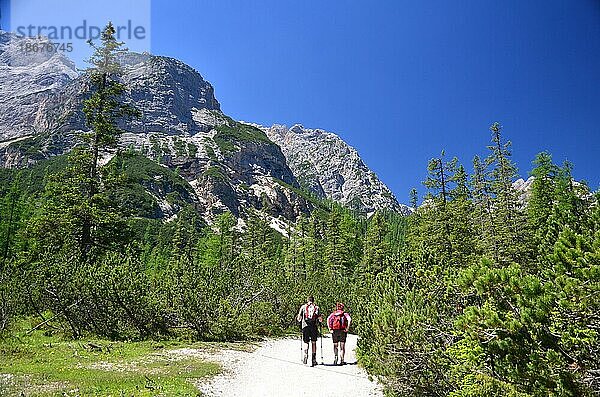 Italien  Südtirol  Pragser Wildsee  Dolomiten  Wanderer  Europa