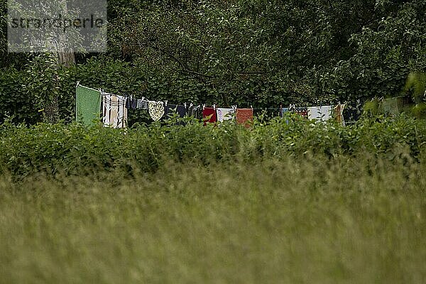 Wiesa  Sachsen  Deutschland  Wäsche hängt auf einer Leine im Grünen  aufgenommen in Wiesa.  Europa