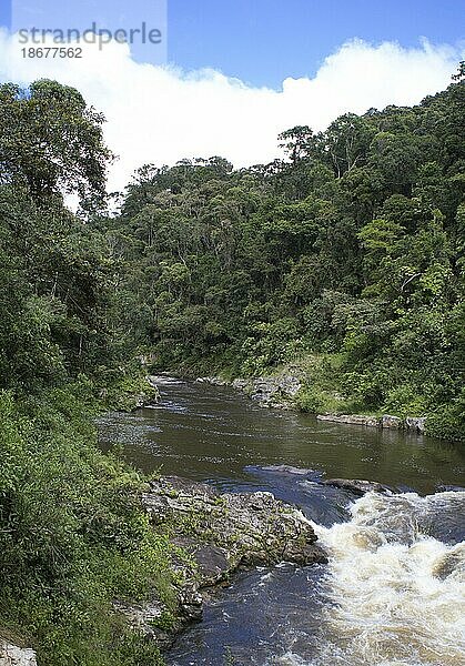 Wasserfall und Fluss im Regenwald von Ranomafana  südliches Hochland  Zentral-Madagaskar  Madagaskar  Ostafrika  Afrika