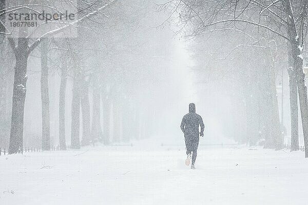 Berlin  Ein Jogger im Tiergarten  aufgenommen während starken Schneefalls in Berlin