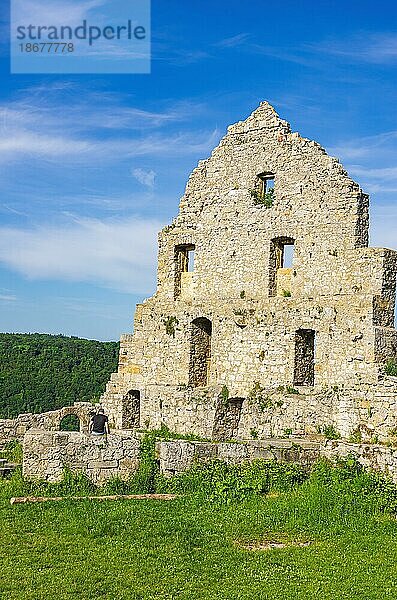 Giebelseite eines verfallenen Gebäudes  Ruine der mittelalterlichen Burg Hohenurach  Bad Urach  Schwäbische Alb  Baden-Württemberg  Deutschland  Europa