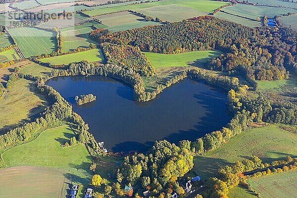 Luftbild über den Ankerschen See  herzförmiger See bei Behlendorf im Kreis Herzogtum Lauenburg im Herbst  Schleswig Holstein  Deutschland  Europa