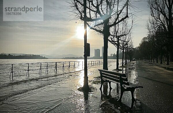 Hochwasser und Frost am Rhein bei Bonn  10.02.2021.  Bonn  Deutschland  Europa