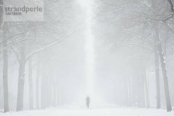 Berlin  Ein Jogger im Tiergarten  aufgenommen während starken Schneefalls in Berlin