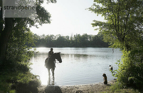Mädchen zu Pferd watet mit Hunden im idyllischen Sommersee  Dolgen am See  Mecklenburg  Deutschland