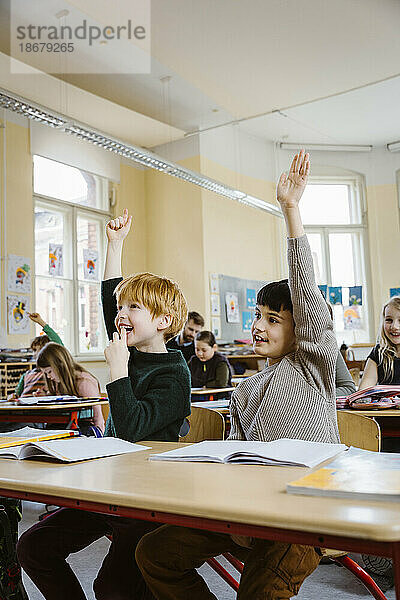 Lächelnde männliche Schüler heben die Hände  während sie im Klassenzimmer antworten