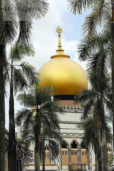 Die Sultan-Moschee (Masjid Sultan)  Singapur  Südostasien  Asien