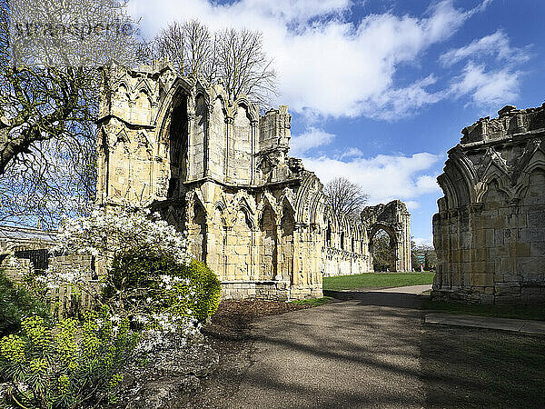 Ruinen der St. Marys Abbey im Museum Gardens  York  Yorkshire  England  Vereinigtes Königreich  Europa