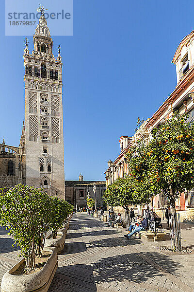 Außenansicht der Kathedrale von Sevilla  UNESCO-Weltkulturerbe  Sevilla  Andalusien  Spanien  Europa