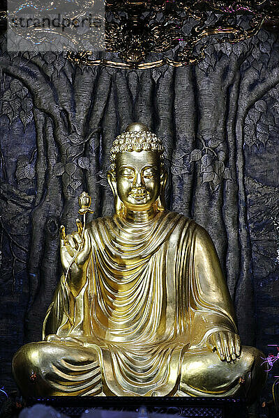 Chua Ho Quoc Pagode  Siddhartha Gautama (der Shakyamuni Buddha) sitzt in Meditationshaltung unter dem Bodhi-Baum  Phu Quoc  Vietnam  Indochina  Südostasien  Asien