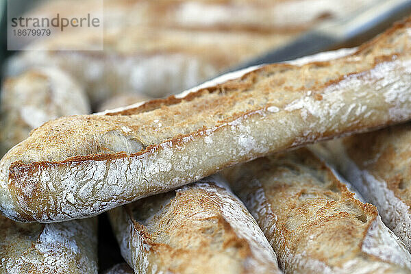 Frisch gebackenes Brot in einer traditionellen französischen Bäckerei  Frankreich  Europa