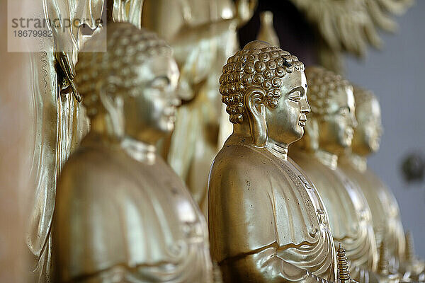 Buddhistischer Tempel Long Duc  goldene Buddha-Statuen auf dem Altar  Tan Chau  Vietnam  Indochina  Südostasien  Asien