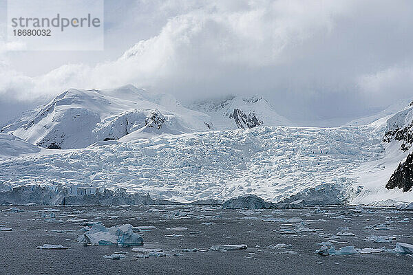 Gletscher  Paradise Bay  Antarktis  Polarregionen
