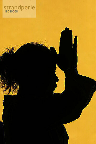 Silhouette of woman praying in temple Faith and spirituality concept  Vietnam  Indochina  Southeast Asia  Asia