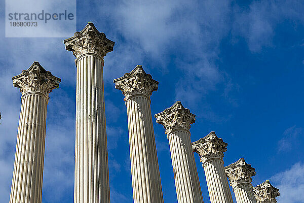 Roman Temple of Cordoba  Cordoba  Andalusia  Spain  Europe