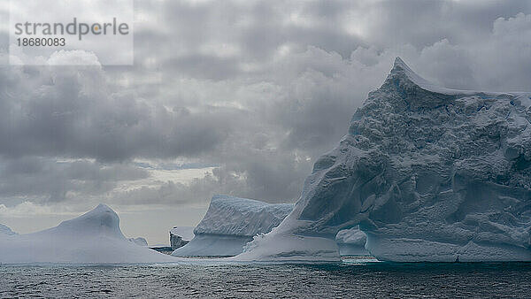 Eisberge  Insel Pleneau  Antarktis  Polarregionen