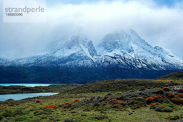 Nationalpark Torres del Paine  Südchile  Südamerika