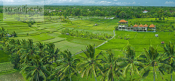 Luftaufnahme des Reisfeldes Kajeng  Regentschaft Gianyar  Bali  Indonesien  Südostasien  Asien