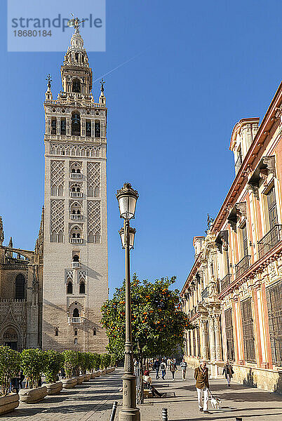 Außenansicht der Kathedrale von Sevilla  UNESCO-Weltkulturerbe  Sevilla  Andalusien  Spanien  Europa