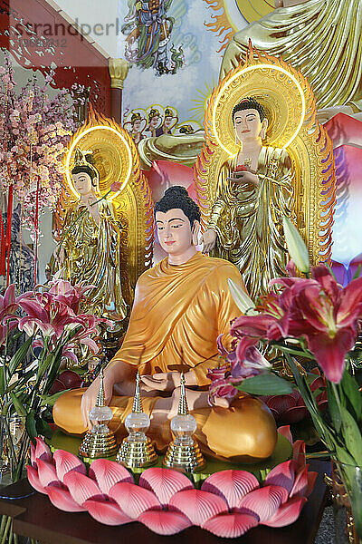 Main altar  Phu Son Tu Buddhist temple  Shakyamuni Buddha statue  Tan Chau  Vietnam  Indochina  Southeast Asia  Asia