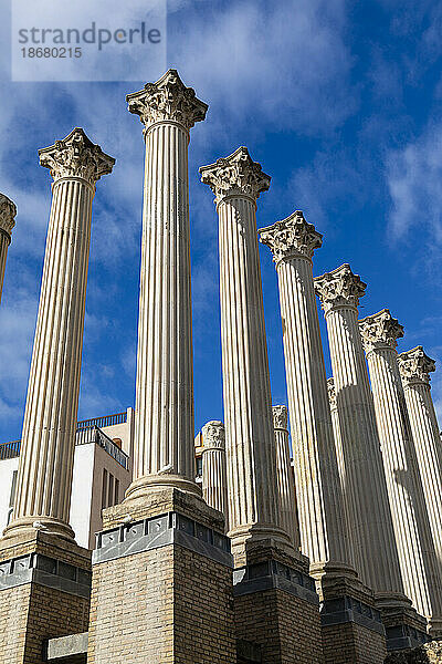 Roman Temple of Cordoba  Cordoba  Andalusia  Spain  Europe