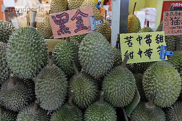 Durians zum Verkauf auf einem kleinen Straßenfruchtmarkt in Chinatown  Singapur  Südostasien  Asien