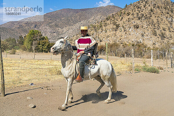 Huaso reitet auf einer Ranch an einem sonnigen Tag  Colina  Provinz Chacabuco  Metropolregion Santiago  Chile  Südamerika