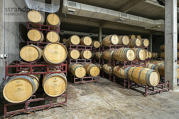 Weinkeller mit Fässern  in denen der Wein malolaktische Gärung durchführt  Weingut El Principal  Pirque  Maipo-Tal  Provinz Cordillera  Metropolregion Santiago  Chile  Südamerika