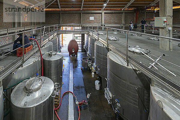 Gärtanks  Weingut El Principal  Pirque  Maipo-Tal  Provinz Cordillera  Metropolregion Santiago  Chile  Südamerika