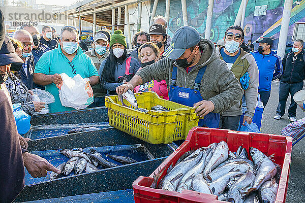 Menschen kaufen frischen Fisch auf dem Markt  Caleta Portales  Valparaiso  Provinz Valparaiso  Region Valparaiso  Chile  Südamerika