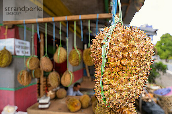 Durianfrucht auf einem lokalen Markt in West-Java  Indonesien  Südostasien  Asien