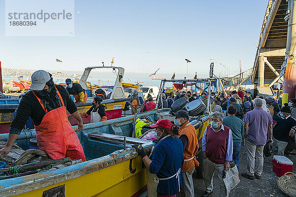 Menschen kaufen frischen Fisch auf dem Markt  Caleta Portales  Valparaiso  Provinz Valparaiso  Region Valparaiso  Chile  Südamerika