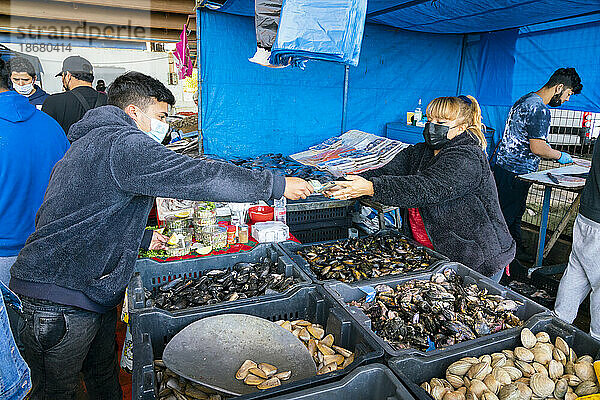 Mann kauft frische Meeresfrüchte auf dem Markt  Caleta Portales  Valparaiso  Provinz Valparaiso  Region Valparaiso  Chile  Südamerika