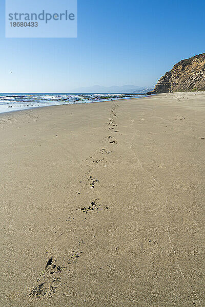 Fußspuren im Sand am Strand von Quirilluca  Puchuncavi  Provinz Valparaiso  Region Valparaiso  Chile  Südamerika