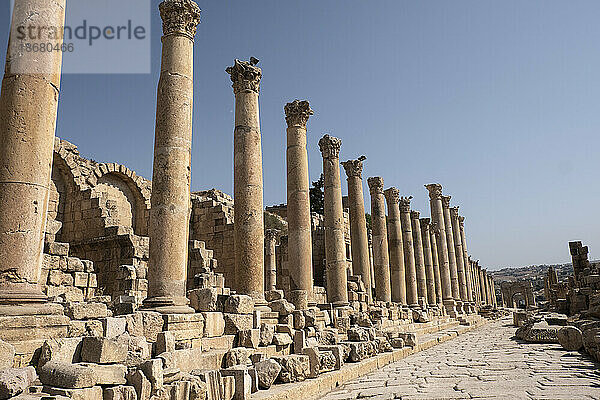 Antike römische Straße mit einer Kolonnade in der archäologischen Stätte von Jerash  Jordanien  Naher Osten