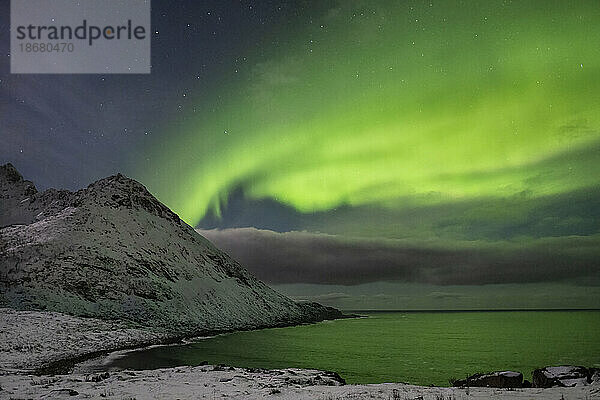 Die Aurora Borealis (Nordlichter) über dem Berg Skoytneset und dem Mefjord im Winter  in der Nähe von Mefjordvaer  Senja  Kreis Troms und Finnmark  Norwegen  Skandinavien  Europa