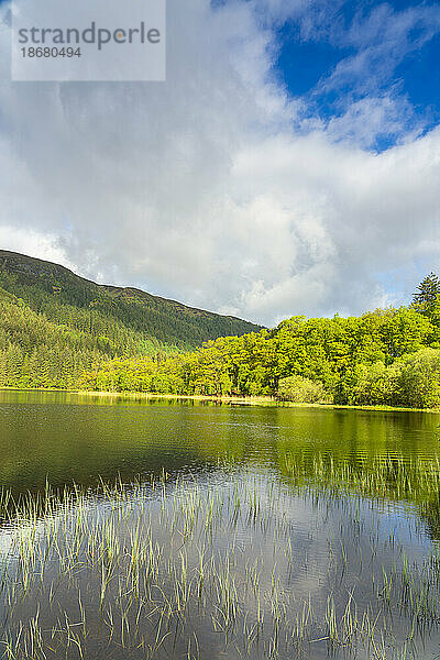 Loch Chon  Loch Lomond and The Trossachs National Park  Schottische Highlands  Schottland  Vereinigtes Königreich  Europa