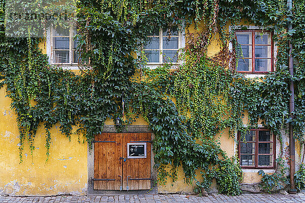 Fassade eines von Efeu bewachsenen Hauses  UNESCO-Weltkulturerbe  Cesky Krumlov  Südböhmische Region  Tschechische Republik (Tschechien)  Europa