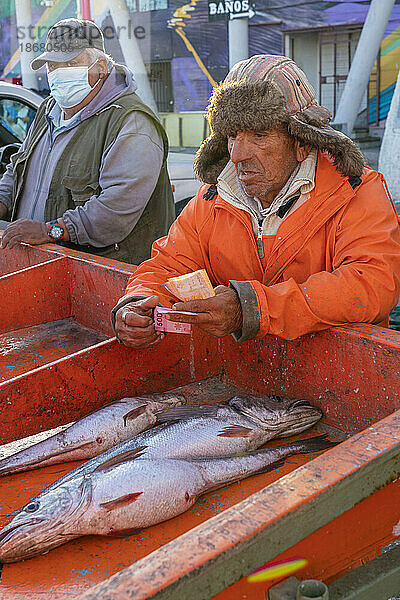 Älterer Mann  der frischen Fisch auf dem Markt verkauft  Caleta Portales  Valparaiso  Provinz Valparaiso  Region Valparaiso  Chile  Südamerika
