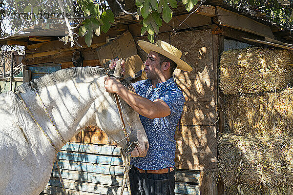 Junger chilenischer Reiter (Huaso) bereitet weißes Pferd auf Ranch  Colina  Provinz Chacabuco  Metropolregion Santiago  Chile  Südamerika vor