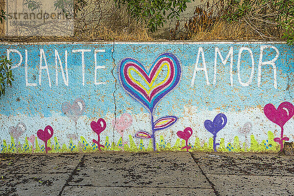 Gemaltes Wandgemälde mit Text „Plante amor“ (Pflanzenliebe) und Herz am Cerro La Florida  Valparaiso  Provinz Valparaiso  Region Valparaiso  Chile  Südamerika